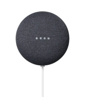 Google Nest Mini