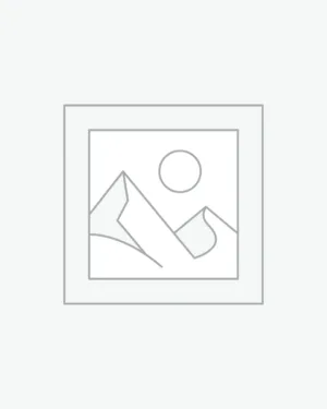 عنصر نائب Placeholder